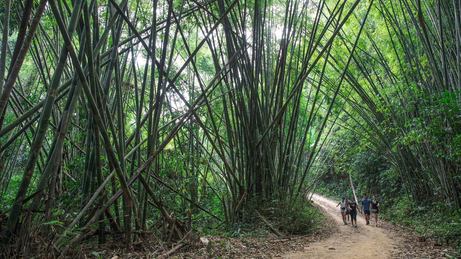 17 Days Laos Cycling Adventure Tour